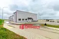 Established business 1 134 m² in Hrodna, Belarus