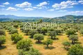 Parcelas 9 312 m² Agios Nikolaos, Grecia