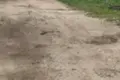 Земельные участки  Сокольники, Беларусь