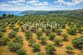 Parcelas 9 312 m² Agios Nikolaos, Grecia