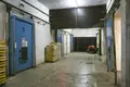 Propiedad comercial 3 214 m² en Sevnica, Eslovenia
