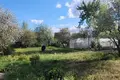 Land  Zodzinski sielski Saviet, Belarus