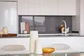 2 bedroom apartment  Malaga, Spain