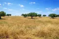 Grundstück 14 000 m² Kassandrino, Griechenland