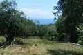 Land 1 room  Municipality of Central Corfu and Diapontia Islands, Greece