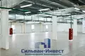 Propiedad comercial 1 308 m² en Zdanovicy, Belarús