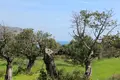 Land 1 room  Municipality of Agios Nikolaos, Greece