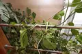 4 room house 228 m² Jurmala, Latvia