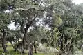 Land 1 room  Agios Stefanos, Greece