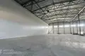 Склад 1 415 м² Фанипольский сельский Совет, Беларусь