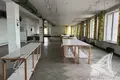 Manufacture 3 124 m² in Brest, Belarus