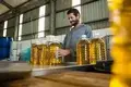 Olive Oil Production Plant - €10 Million. Annual profitability exceeding 15%!