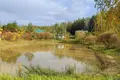 Дом 69 м² Дзержинский сельский Совет, Беларусь