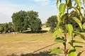 Land 1 272 m² Potrzanowo, Poland