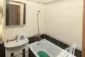 Wohnung 1 zimmer 33 m² Pruschany, Belarus