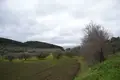 Земельные участки 1 комната  Неа Рода, Греция