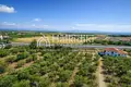 Parcelas 14 000 m² Nea Potidea, Grecia