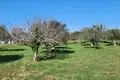 Atterrir  Opcina Marcana, Croatie