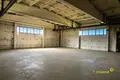 Manufacture 12 000 m² in Novalukoml, Belarus