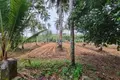Atterrir  Thalang, Thaïlande