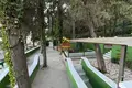 🌊🍽 BAR-RESTORANT-PIZZERY FOR RENT IN COLD WATER, VLORA