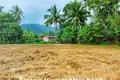 Parcelas  Pa Khlok, Tailandia
