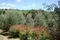Investment 500 m² in Sferracavallo, Italy