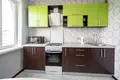 Wohnung 2 zimmer 46 m² Minsk, Belarus