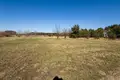Land 3 977 m² Klecko, Poland