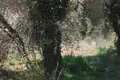 Atterrir  Rijeka Rezevici, Monténégro