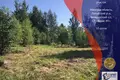 Działki  Bialarucki sielski Saviet, Białoruś