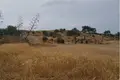 Atterrir  Potamia, Chypre