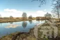 House 101 m² Visnieuski sielski Saviet, Belarus