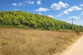 Land 4 500 m² Kassandrino, Greece