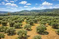Land 9 312 m² Neos Marmaras, Greece