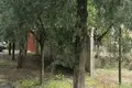 Особняк  Сремски-Карловци, Сербия