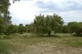 Działki 1 pokój  Kassandra Municipality, Grecja