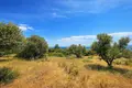 Atterrir 6 000 m² Neos Marmaras, Grèce