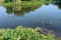 Land  Zdanovicki sielski Saviet, Belarus
