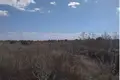 Коммерческое помещение  Таирово, Украина