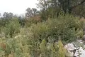 Land  Blizikuce, Montenegro