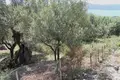 Land 1 room  Lefkada Municipality, Greece