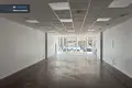 Propiedad comercial 95 m² en Alytus, Lituania