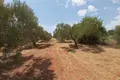 Atterrir 1 chambre  Nikiti, Grèce