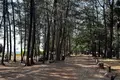 Квартира 1 спальня 37 м² Тхаланг, Таиланд