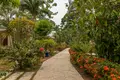 Haus 1 Schlafzimmer 65 m² El Pino, Honduras