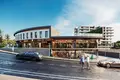Commercial property 700 m² in Altintas, Turkey