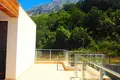 Вилла 4 спальни 240 м² Добра Вода, Черногория