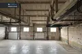 Коммерческое помещение 2 119 м² в Алитусе, Литва