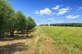Land 4 262 m² Nea Triglia, Greece
